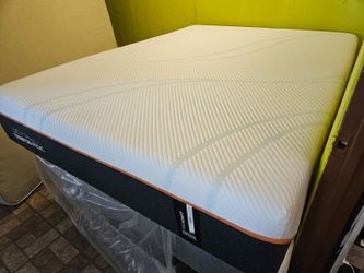 Mattress And Box Spring Queen Size