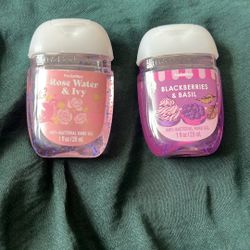 Bath & Body Works Anti-Bacterial Pocketbacs