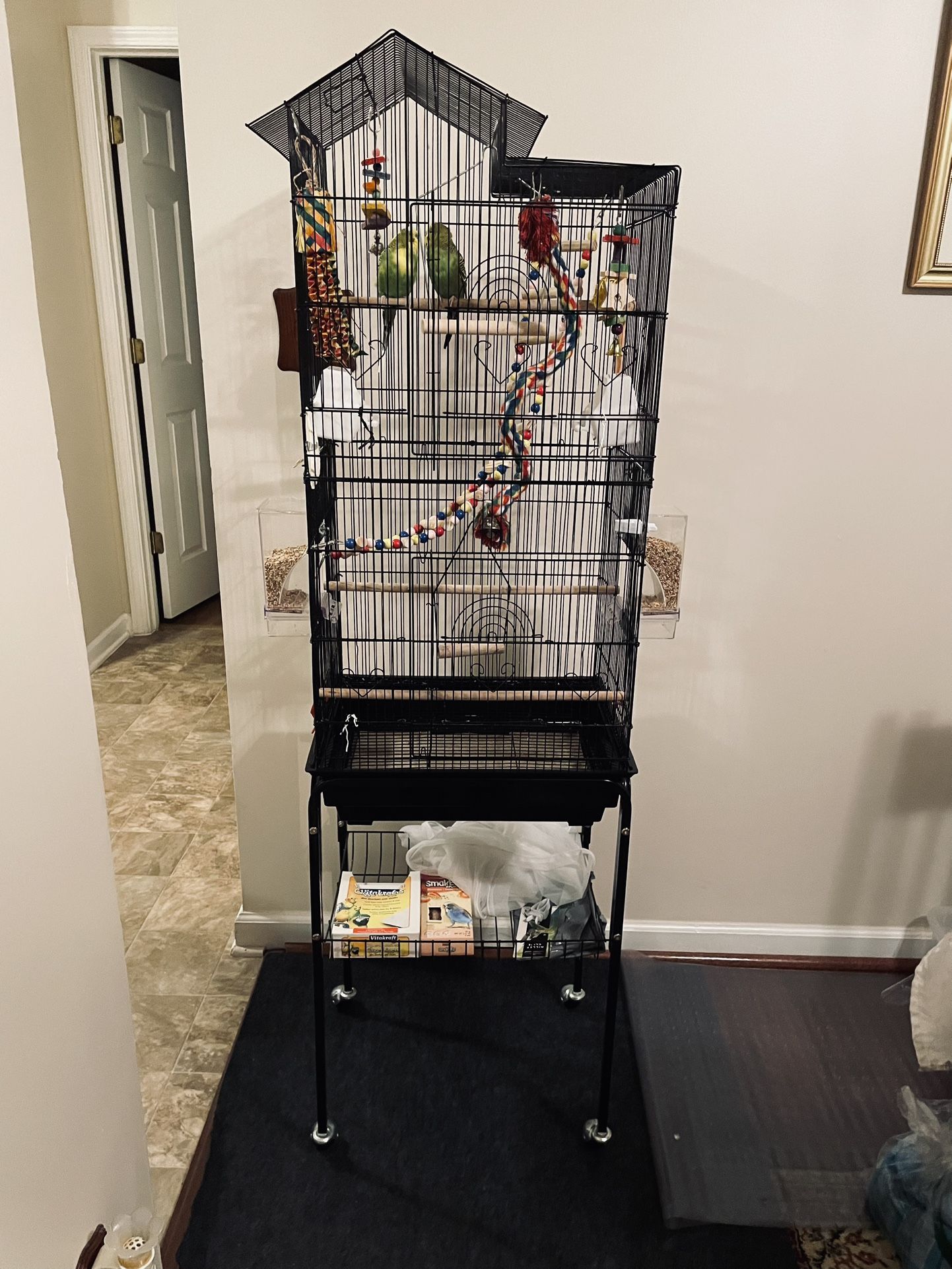 Two Parakeet Birds & cage
