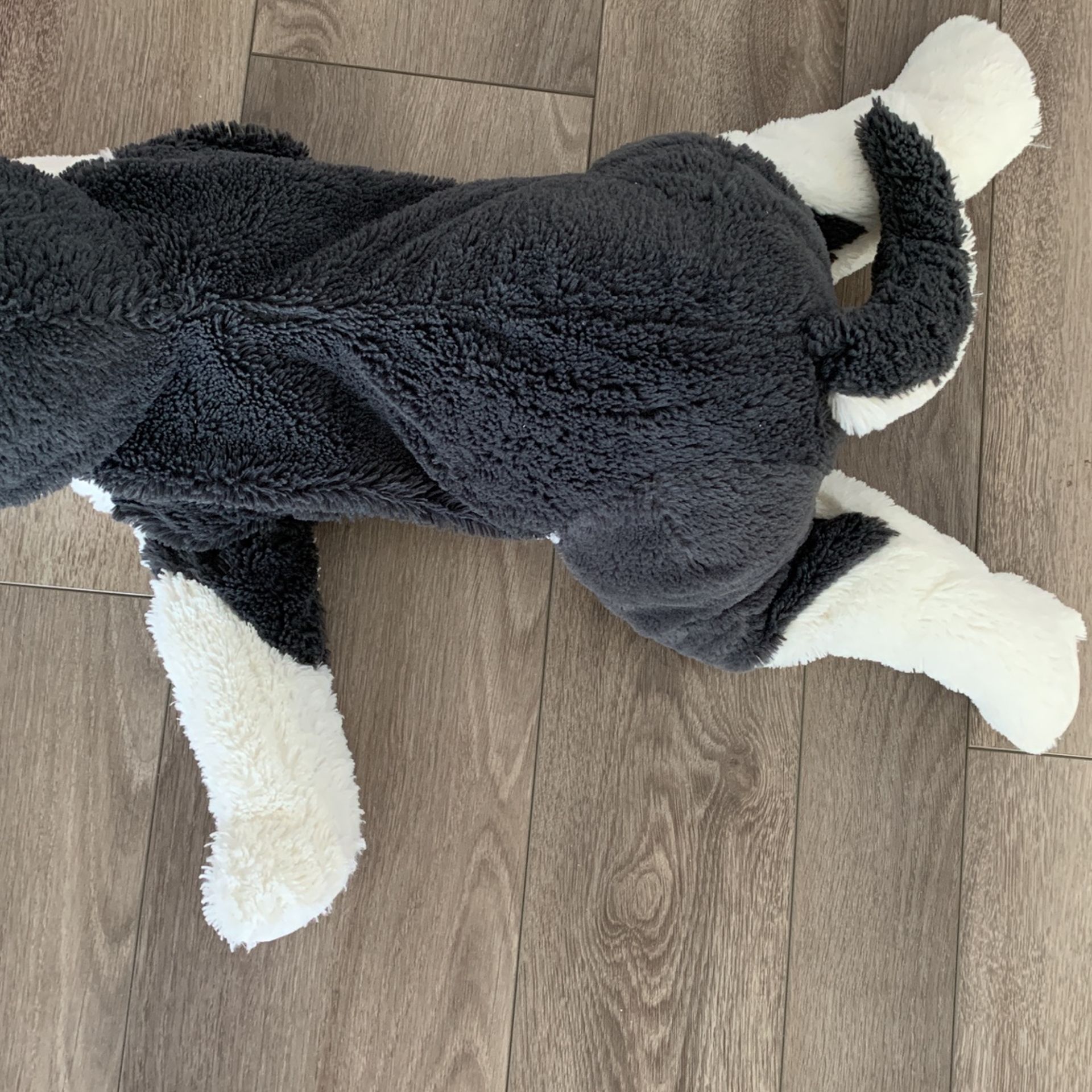 Dog Plushie