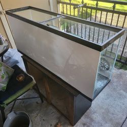 Aquarium 
