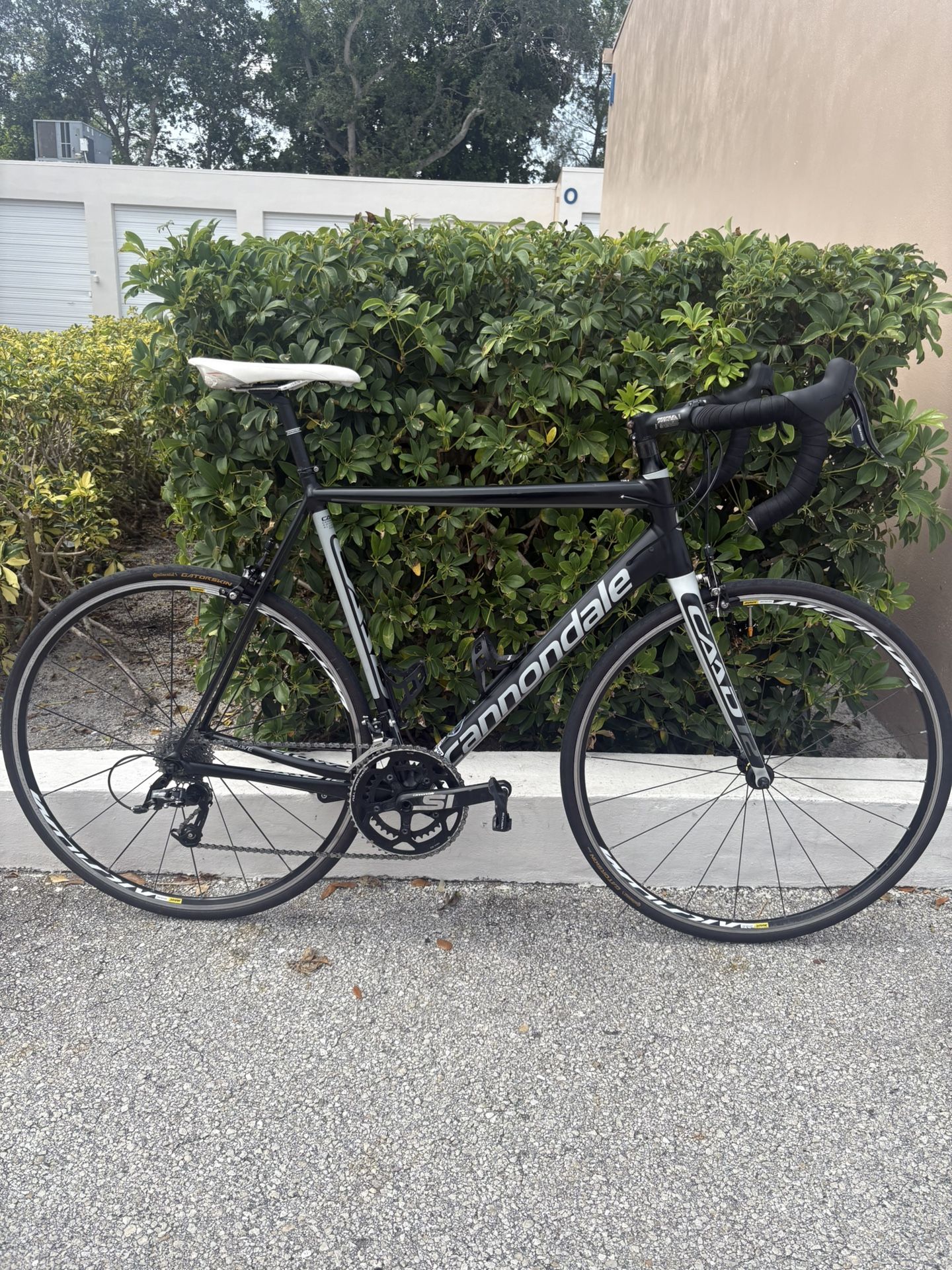 Cannondale CAAD 12