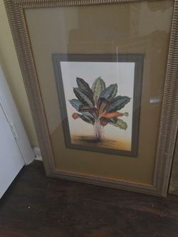 Art & Frame Source, Inc -Botanical Print