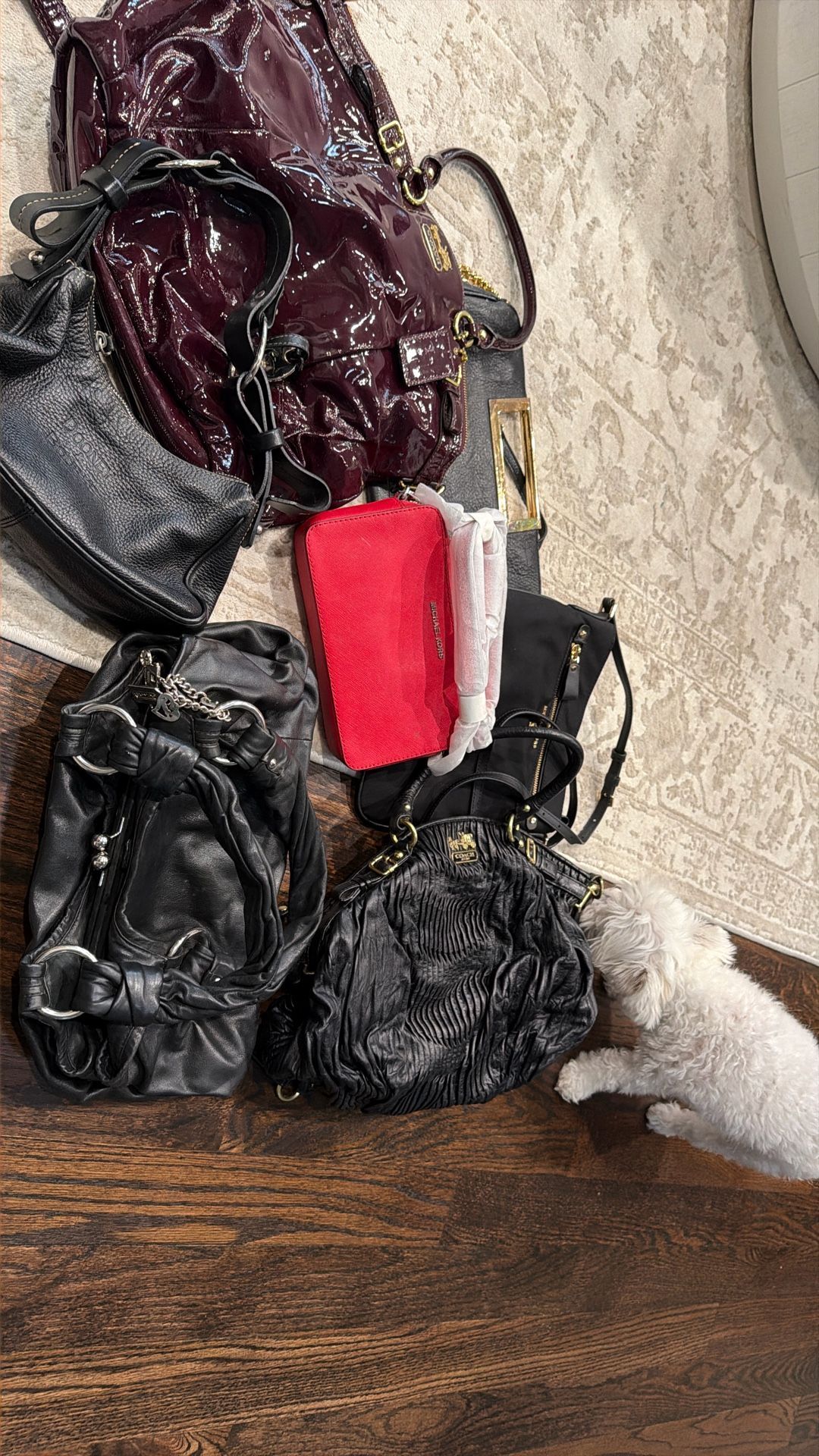 Coach , Michael Kors, Donkey Bournke Bags 