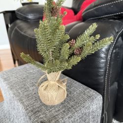 Small Tree