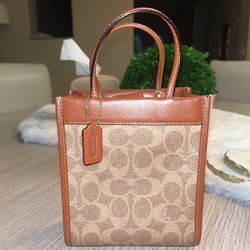 Mini Coach Purse 