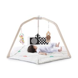 Lovevery Play Gym