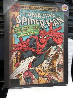 Vintage Amazing Spider-Man comic Wall Art canvas 14x18”