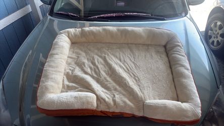Big dog bed