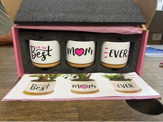 Best mom ever 3 piece pot plant set