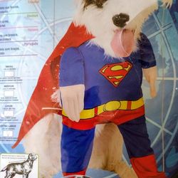 Krypto The Super Dog Pet Costume 
