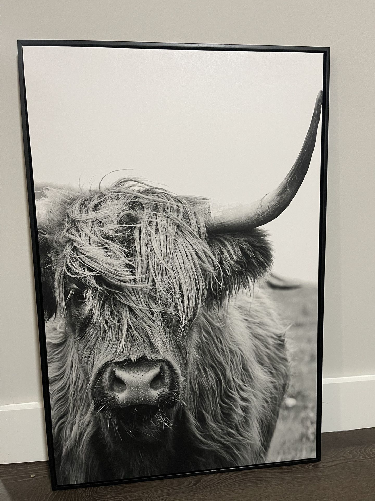 Highland Cow Picture, Hobby Lobby, Black and White
