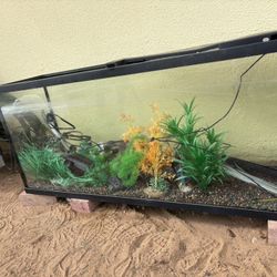 Big Fish Tank 