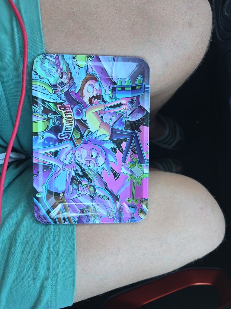 Rick And Morty Collectible Tray