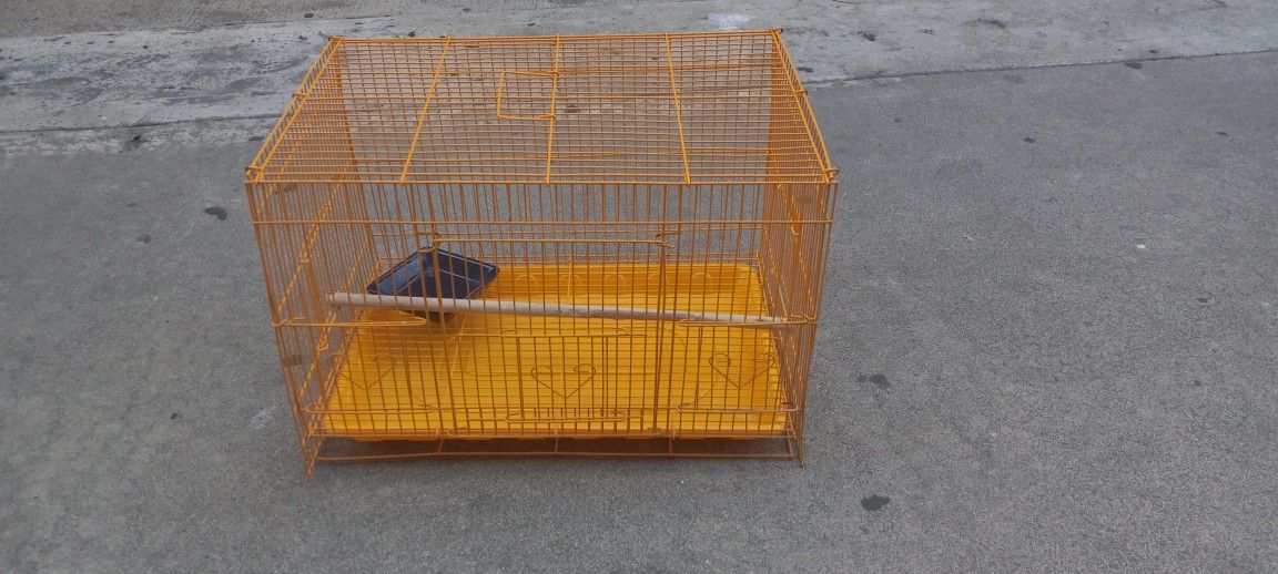 Bird Cage