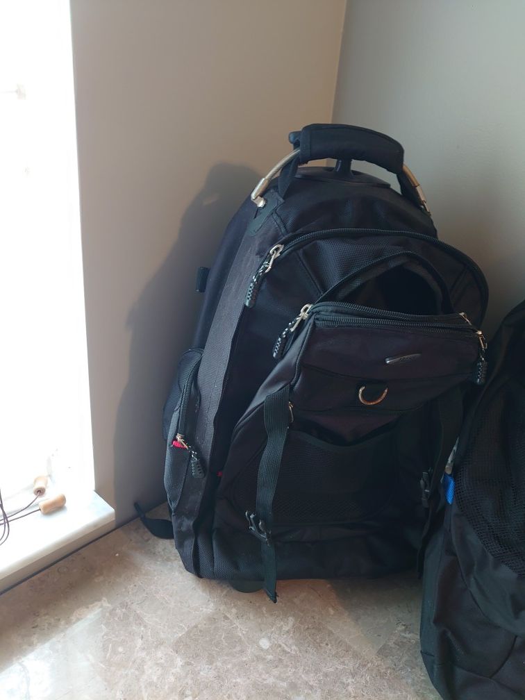 Roller/backpack