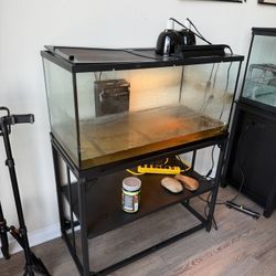 40 Gallon Tank With Black Stand Included