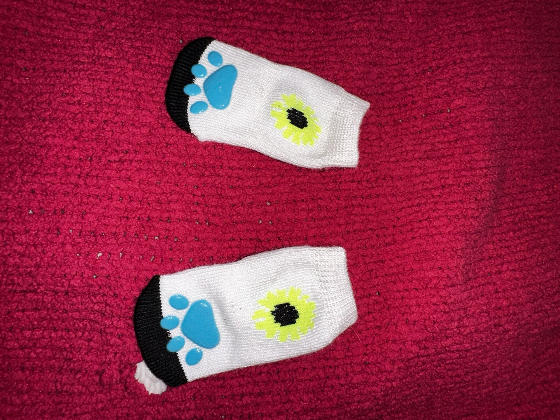 Small Pet Socks