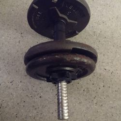 20LB Weights - Completely Functional