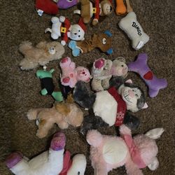 Pet Toys