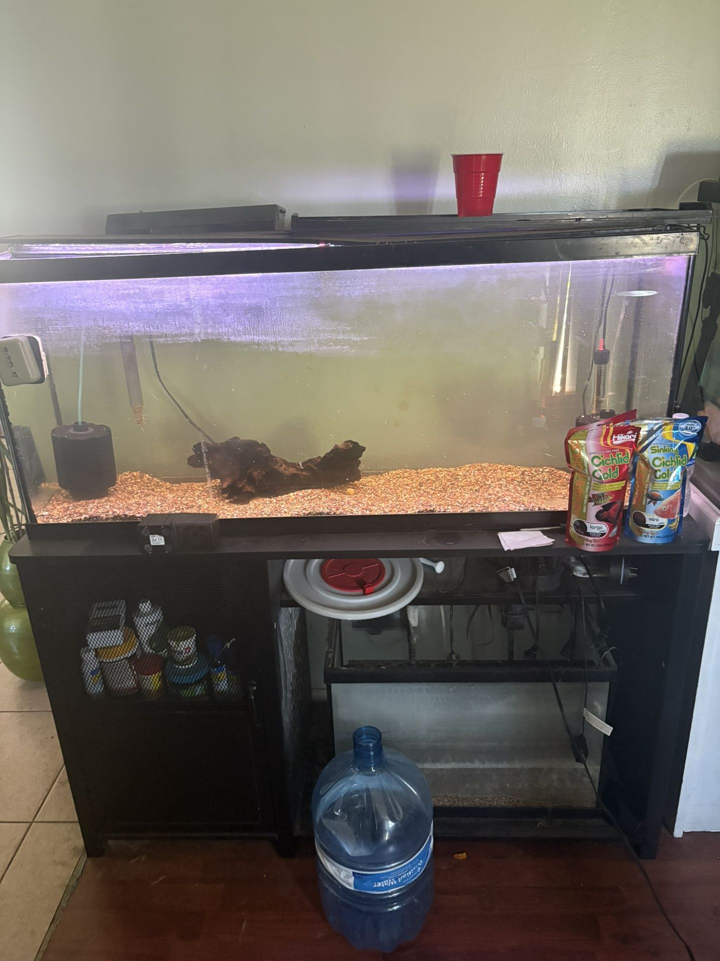 55gal Aquarium