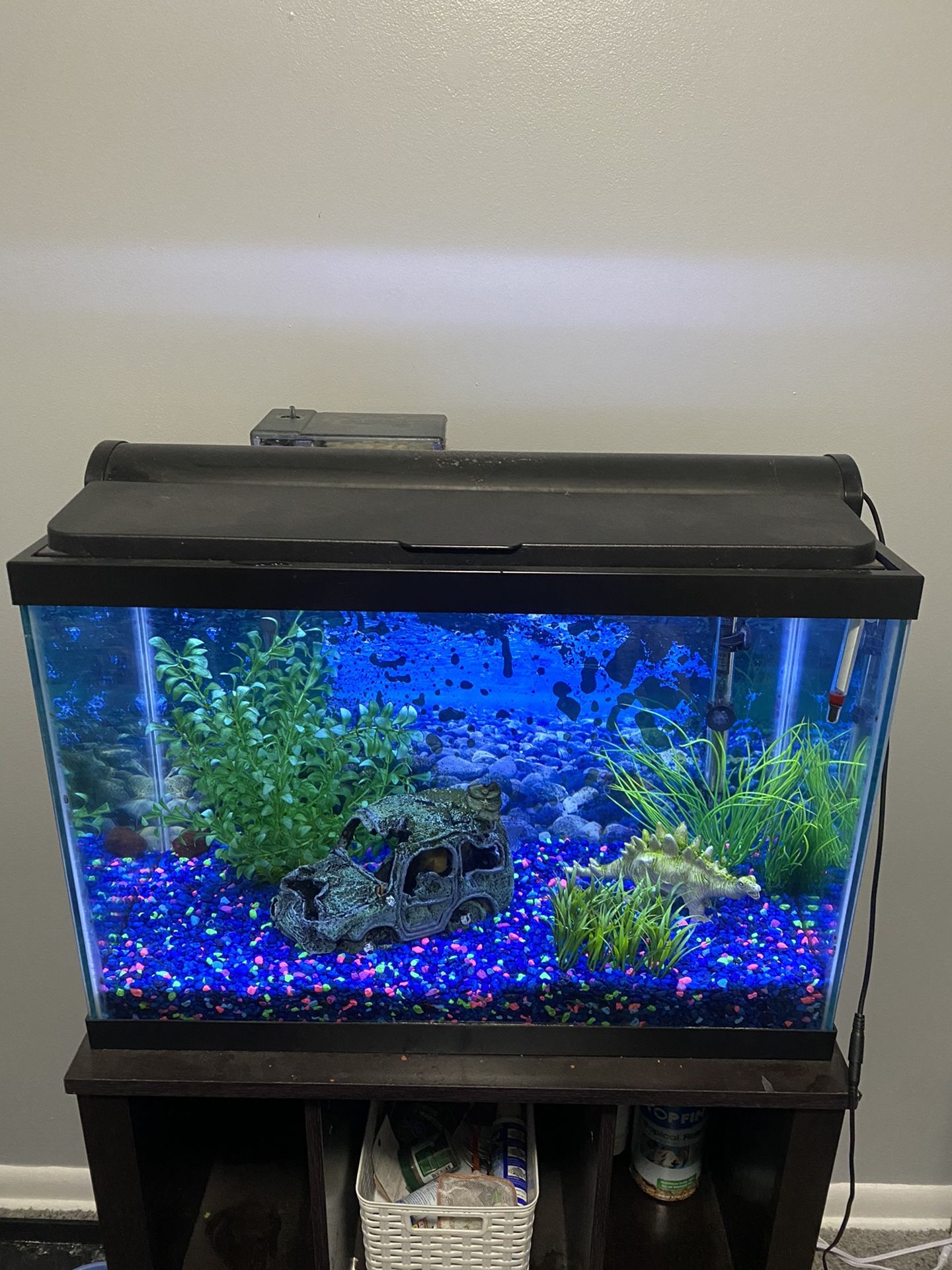 20 Gallon Fish Tank With Accessories 