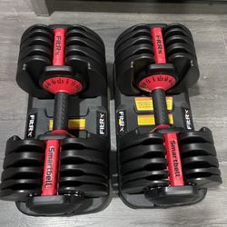 FitRx 52.5 adjustable dumbbell 