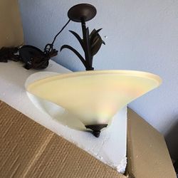 Light Fixture 