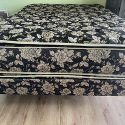 Queen - Mattress and Box Spring Comfort Care Westland Restonic