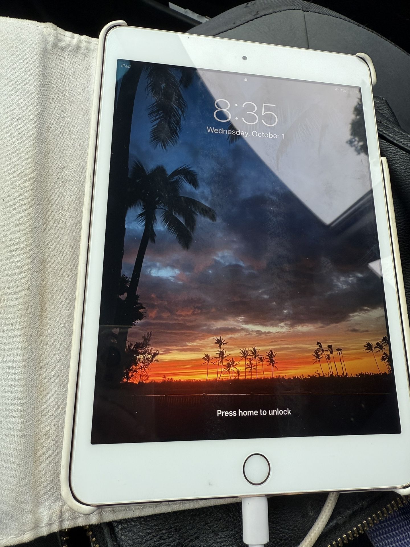 iPad Mini 3