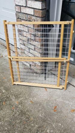 even flo Doggie door