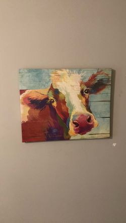Cow photo
