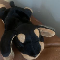 Ty Beanie Baby Doby RARE/retired 96’ errors