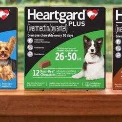 Heart guard For Dogs 