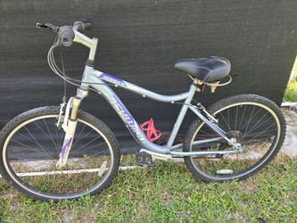 Schwin bike