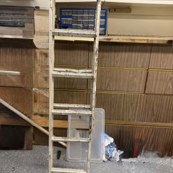 16 Foot Aluminum Extension Ladder