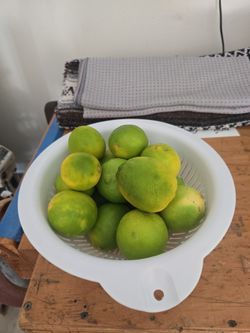 Fruit