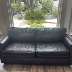 Leather Sofa Bed