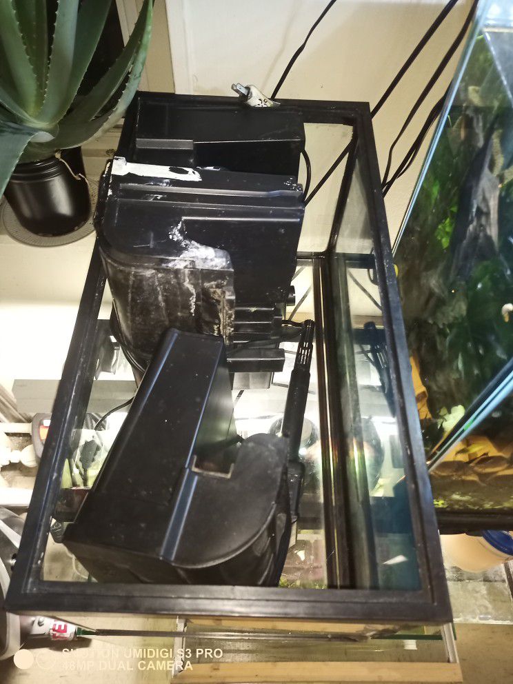 Fish Tank Aquariums Available