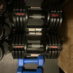 Adjustable Weights 