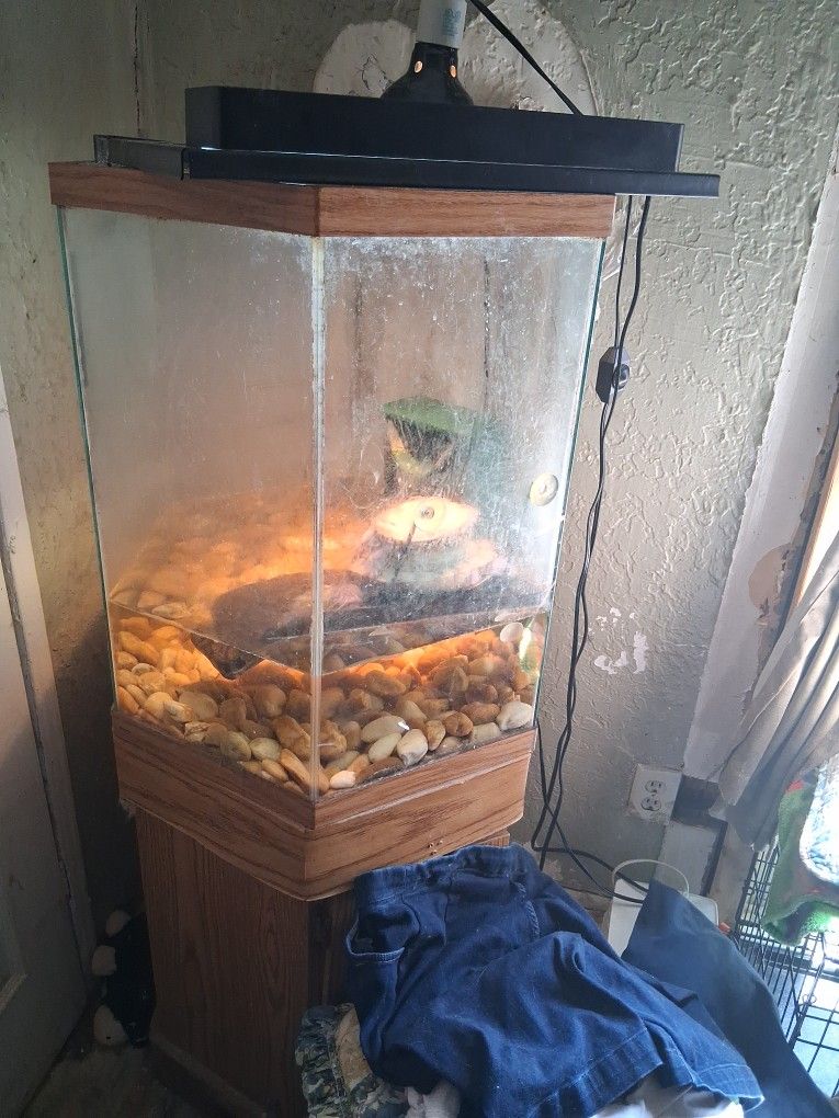 40 Gallon Hexagon Fish Tank