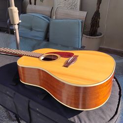 Seagull SWS SG Acoustic Guitar w/Custom Case