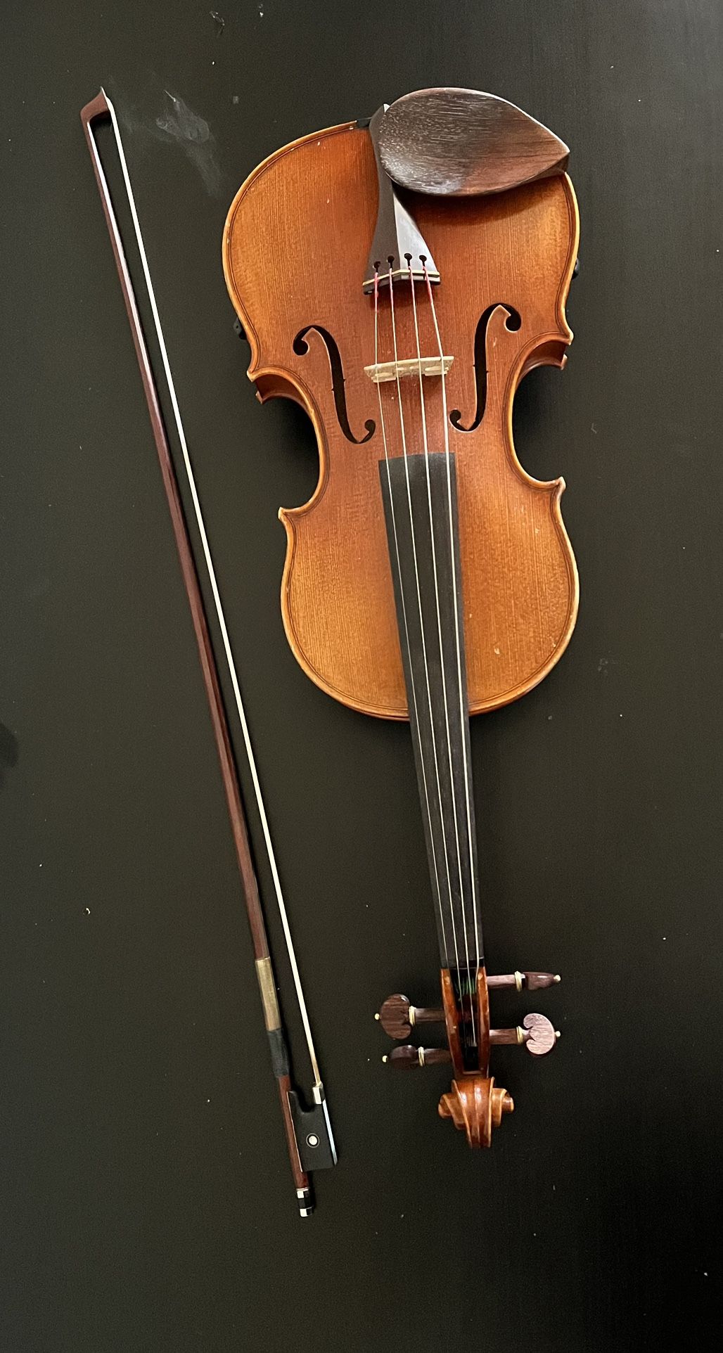 Violin