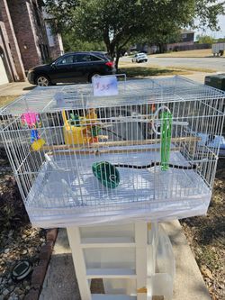 Bird Cage