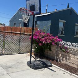 Basketball Court