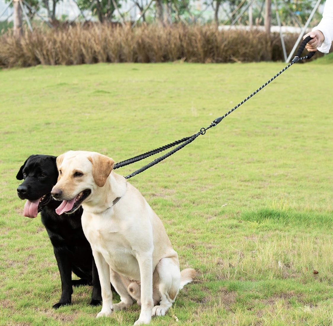 Double Leash