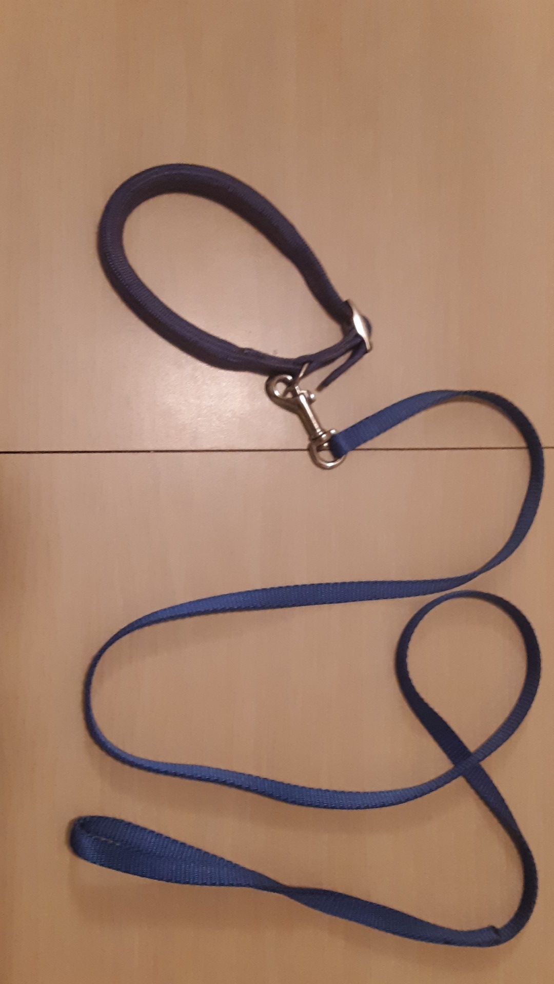 Blue dog leash with collar