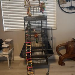 Bird Cage With All Accessories