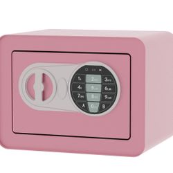 New Small Safe Pink 