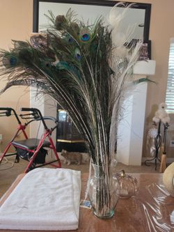Natural Peacock Feathers Bundle